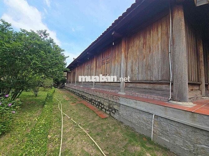 Biệt phủ Gỗ Xưa - 3500m2 - 25tr/m2 - 153 tỷ