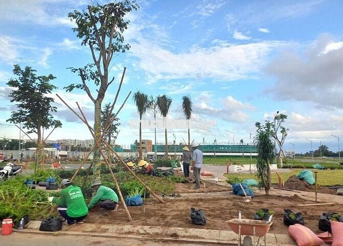 Sổ hồng thổ cư Cái Răng khu Nam Long 2