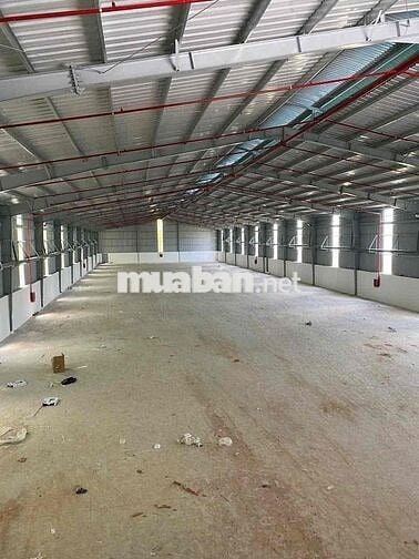 GIỚI THIỆU:  CHO THUÊ XƯỞNG TÂN UYÊN 2.250m2