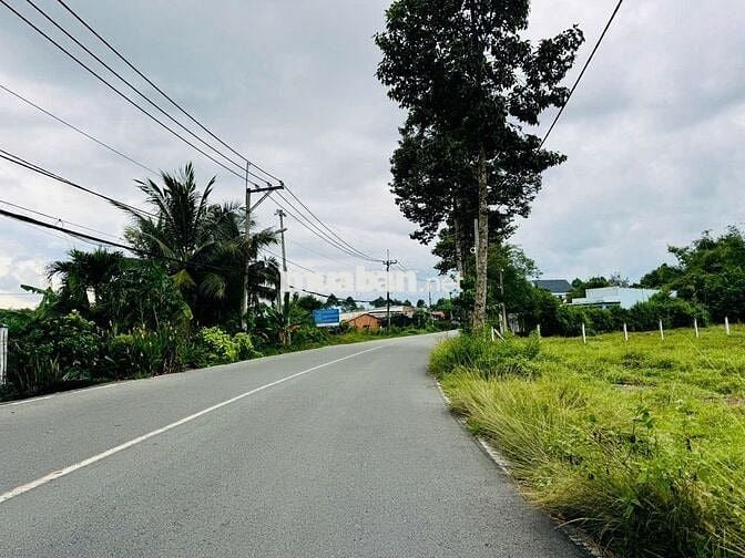 Đất mặt tiền Cây Trôm Mỹ Khánh - Thái Mỹ: 278m2 ( 5x55 ). Giá 1 tỷ 450