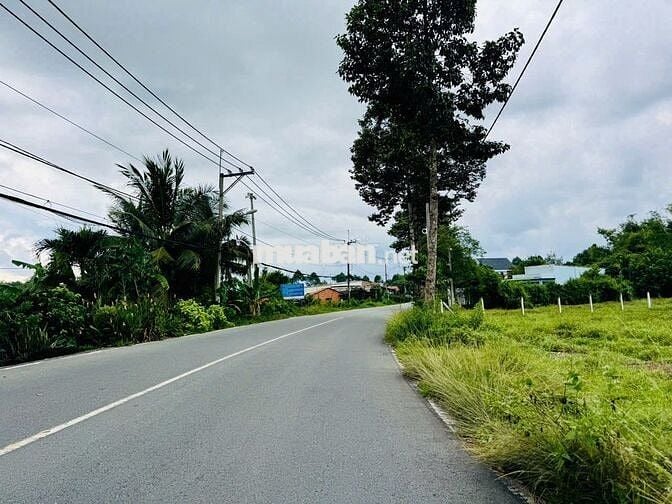 Đất mặt tiền Cây Trôm Mỹ Khánh - Thái Mỹ: 278m2 ( 5x55 ). Giá 1 tỷ 450