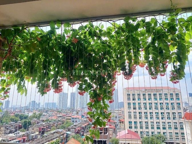 Bán căn hộ chung cư đầy đủ nội thất đã sửa đẹp, căn góc, 146m2!