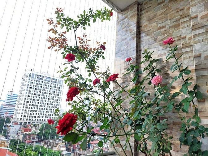 Bán căn hộ chung cư đầy đủ nội thất đã sửa đẹp, căn góc, 146m2!