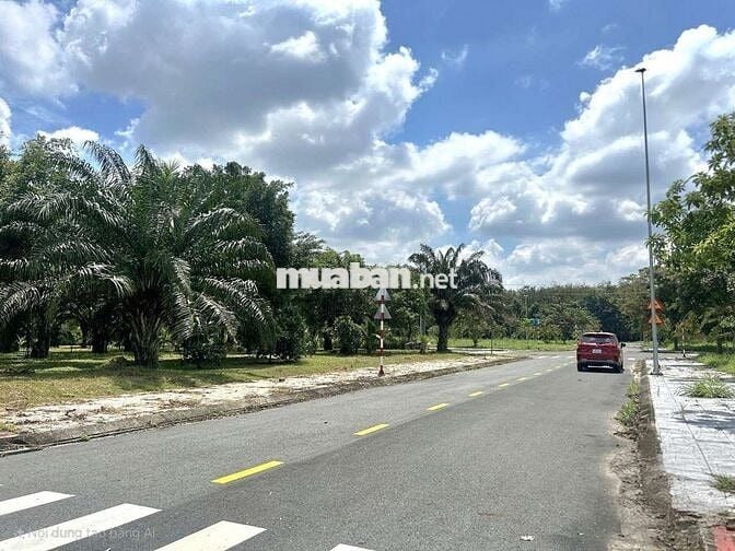 Bán nhánh lô góc bằng giá lô thường chỉ 1 tỷ 267 tr đồng