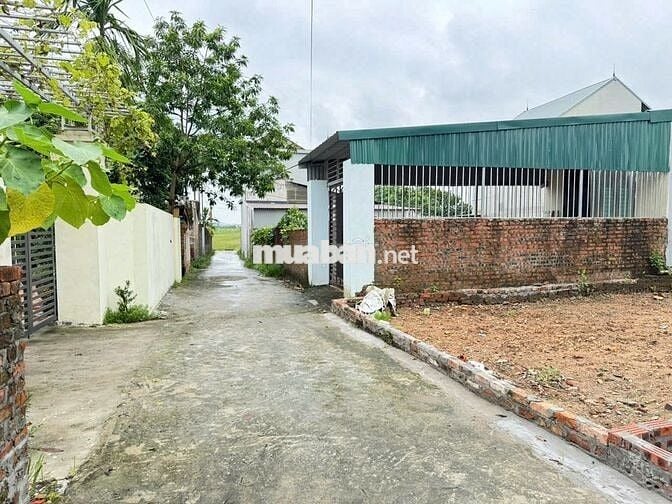 Bán đất Xuân Long, Tân Dân, Sóc Sơn. Gần chợ Nam Cương, gần đường