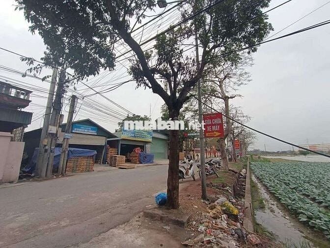 Đất đẹp 193m² đầu làng Tiên Kha. Đông anh – ô tô đỗ cửa. Giá 10tỷ