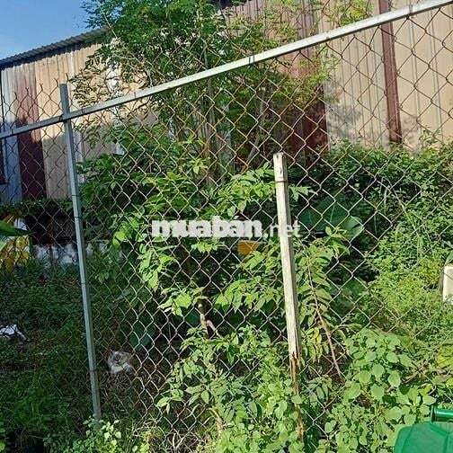 ĐẤT ĐẸP LINH XUÂN – HXH– 120m² CHỈ 3.6 TỶ – GIÁ TỐT KHÔNG TƯỞNG!