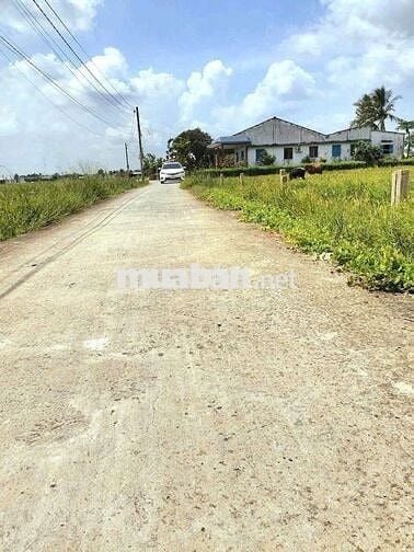 1145m2 đất thổ xây nhà vườn cực đẹp chỉ 1.1 tỷ