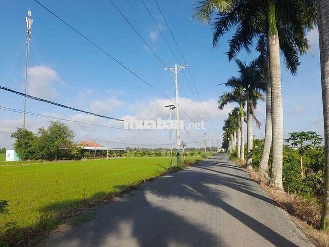 1145m2 đất thổ xây nhà vườn cực đẹp chỉ 1.1 tỷ