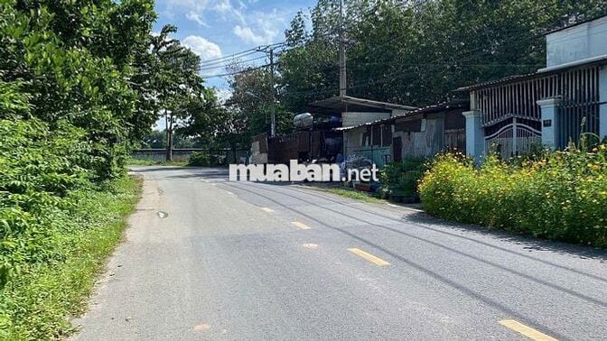 560 TRIỆU. LÔ ĐẤT NGỘP SÁT TỈNH LỘ 8 CHỈ 500m XÃ PHƯỚC VĨNH AN, CỦ CHI
