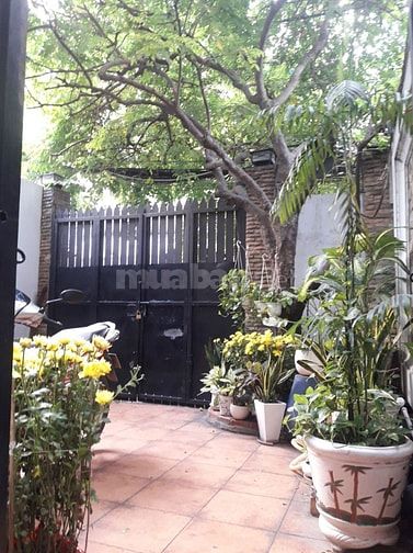 Phòng quận 10 đủ tiện nghi . DT 24m2. thoáng mát.