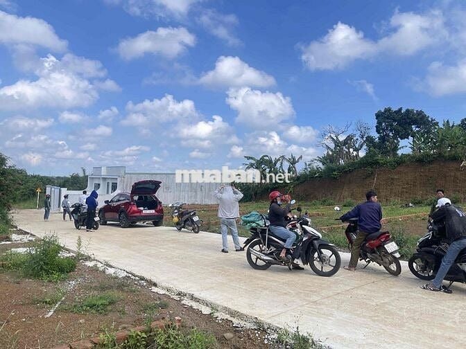 BÁN ĐẤT 5x23,5M THỔ CƯ 5/9/0TR SÁT CHỢ SÔNG THAO BÀU HÀM