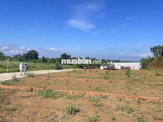 BÁN ĐẤT 5x23,5M THỔ CƯ 5/9/0TR SÁT CHỢ SÔNG THAO BÀU HÀM