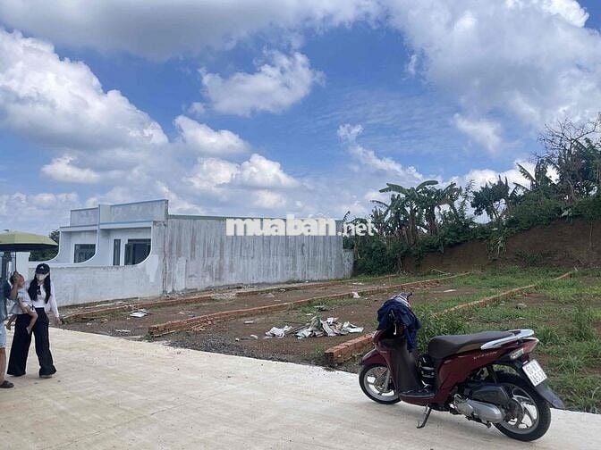 BÁN ĐẤT 5x23,5M THỔ CƯ 5/9/0TR SÁT CHỢ SÔNG THAO BÀU HÀM