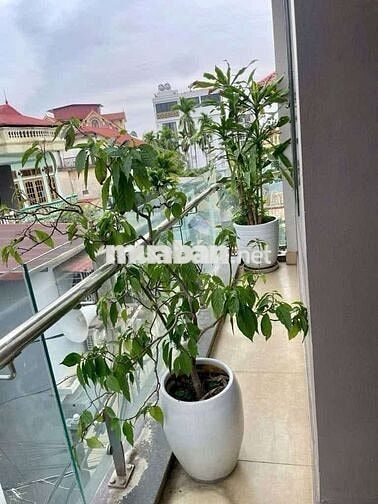Bán nhà dân xây Ngọc Thuỵ, ôtô vào nhà, 68m x 4 tầng, giá chỉ 11,8 tỷ