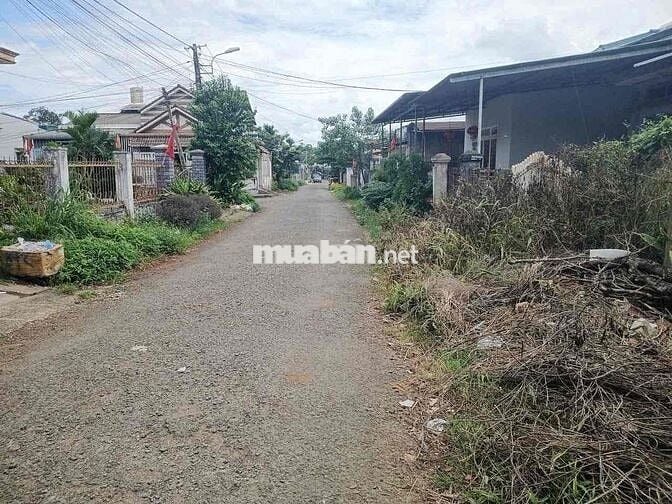 ĐẤT HẺM PHẠM VĂN ĐỒNG PHƯỜNG TÂN LẬP