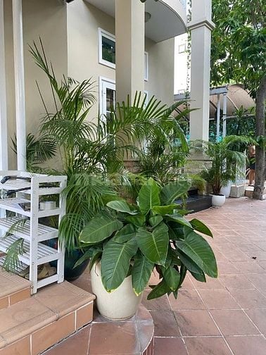 Chính chủ cho thuê Biệt Thự Nam Long 1 giá 100tr có hồ bơi 