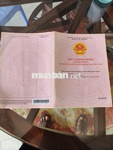 bÁN ĐẤT THỔ CƯ 100% UY TÍN TẠI TIỀN GIANG (ĐỒNG THÁP MỚI)