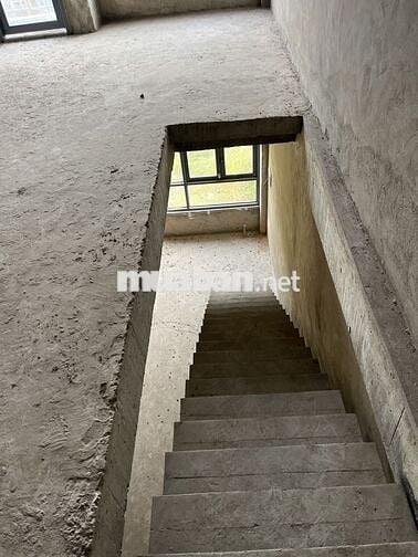 Cắt lỗ nhà liên kế vườn khu đô thị Mỹ Phước 4, TP. Hồ Chí Minh