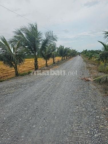 Bán đất NN,  Đức Hòa , Hựu Thạnh