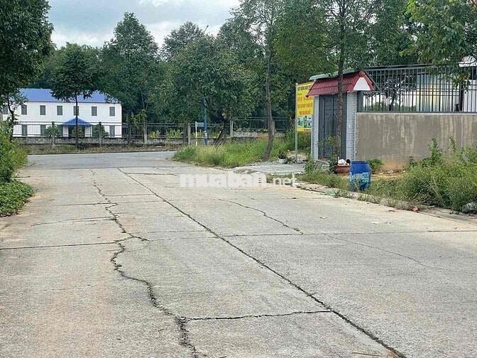 CHỦ CẦN THU HỘI VỐN CHẠY BỆNH BÁN NHANH 150m2 ĐẤT TC THỚI HOÀ TP. HCM