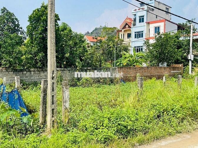 60m2 đất gần chùa Trầm xã Phụng Châu. BÁN GẤP!!!