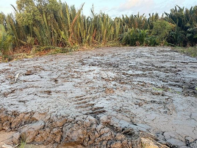 Cần bán 377m2 đất cây lâu năm đường liên ấp 2-3, Hiệp Phước, Nhà Bè 