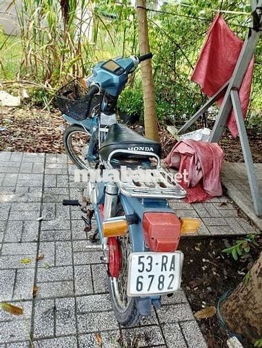 Honda Cub 50 chính hãng
