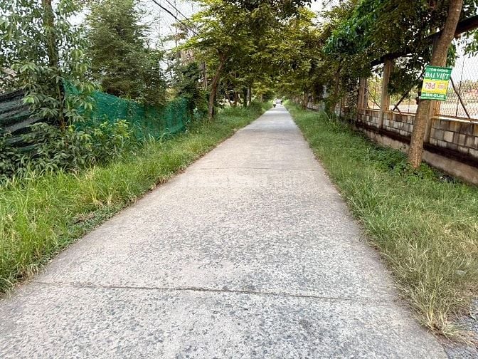 Cần bán 377m2 đất cây lâu năm đường liên ấp 2-3, Hiệp Phước, Nhà Bè 