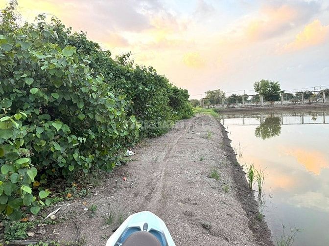 Cần bán 377m2 đất cây lâu năm đường liên ấp 2-3, Hiệp Phước, Nhà Bè 