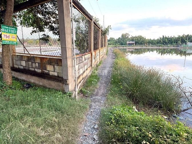 Cần bán 377m2 đất cây lâu năm đường liên ấp 2-3, Hiệp Phước, Nhà Bè 