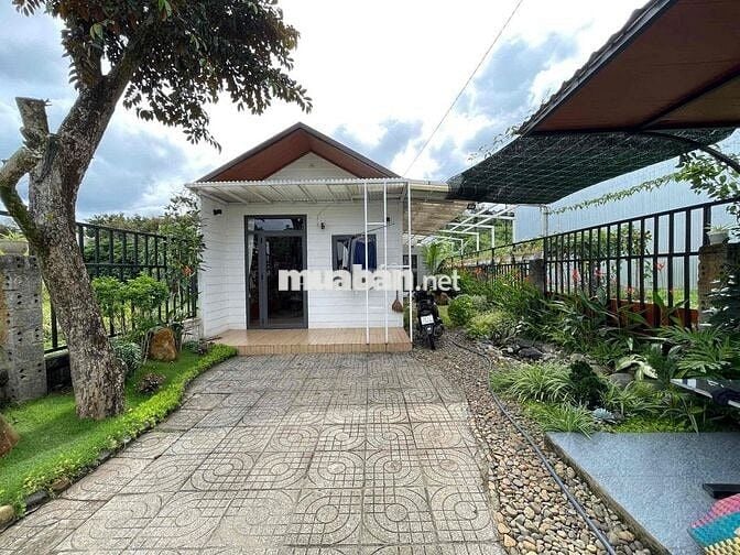 Home stay sẵn thổ cư ngay chợ Lộc An DT 153.3m2 cách chợ 100m