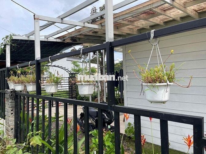 Home stay sẵn thổ cư ngay chợ Lộc An DT 153.3m2 cách chợ 100m
