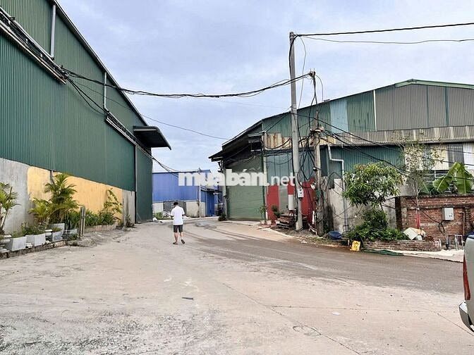 Bán 80m2, đường 5m Thổ Cư tại Hồng Vân, Thường Tín, Hà Nội