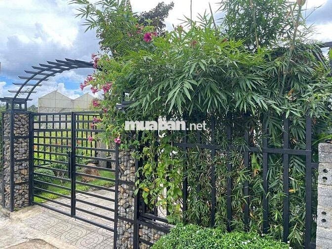 Home stay sẵn thổ cư ngay chợ Lộc An DT 153.3m2 cách chợ 100m