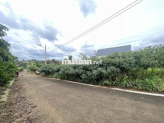 211,8m2 sẵn thổ cư ngay trung tâm Tứ Quý - Lộc An - Bảo Lâm chỉ 900tr
