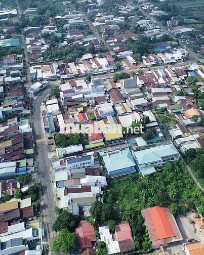 Sổ hồng thổ cư 110m2 gần chợ Sông Thao