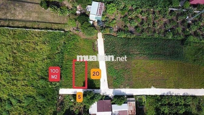 Sổ hồng thổ cư 110m2 gần chợ Sông Thao