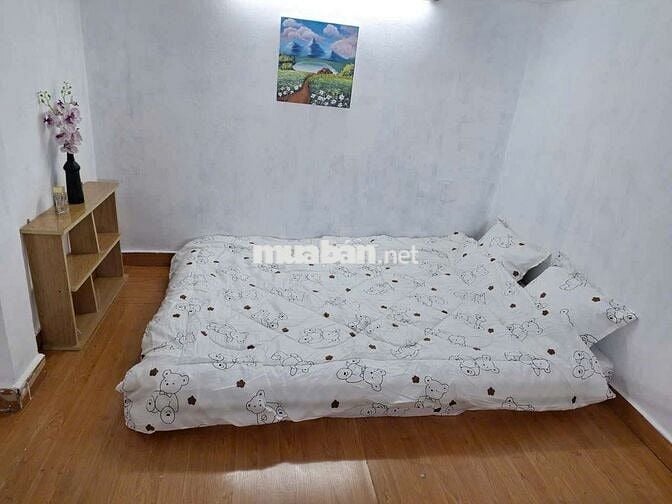 Cho thuê nhà nguyên căn.Đường Nguyễn Trãi.Quận 1.