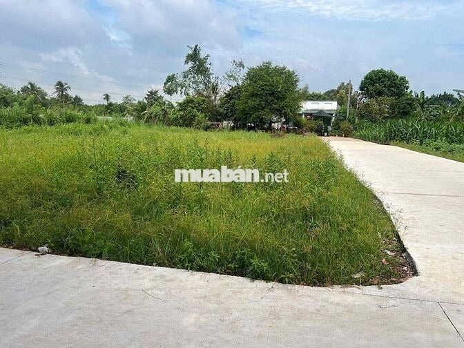 Sổ hồng thổ cư 110m2 gần chợ Sông Thao