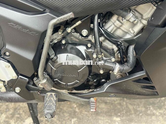 Winner 2018-2019 zin chất cọp