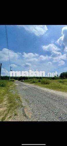 Diện tích: 18.974 Giá bán: 32.000.000.000