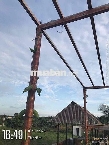 CHÍNH CHỦ CẦN BÁN KHU ĐẤT  Địa chỉ: Xã LÁNG DÀI, Huyện ĐẤT ĐỎ, Tỉnh BÀ