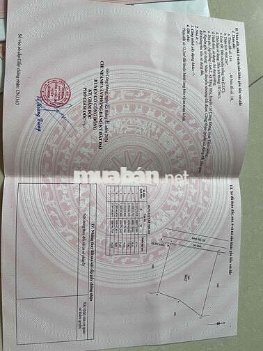 ĐẤT XÀO CÓ NỀN SẴN- QUY HOẠNH THỔ 100%