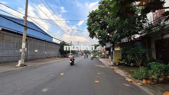 CHO THUÊ NHÀ PHƯỜNG TÂN MAI 6TR