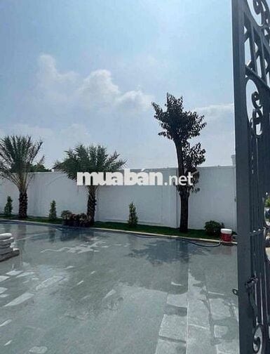 🌿 CẦN BÁN NHANH NHÀ VƯỜN SIÊU ĐẸP – MẶT TIỀN ĐƯỜNG PHẠM THỊ CHANH