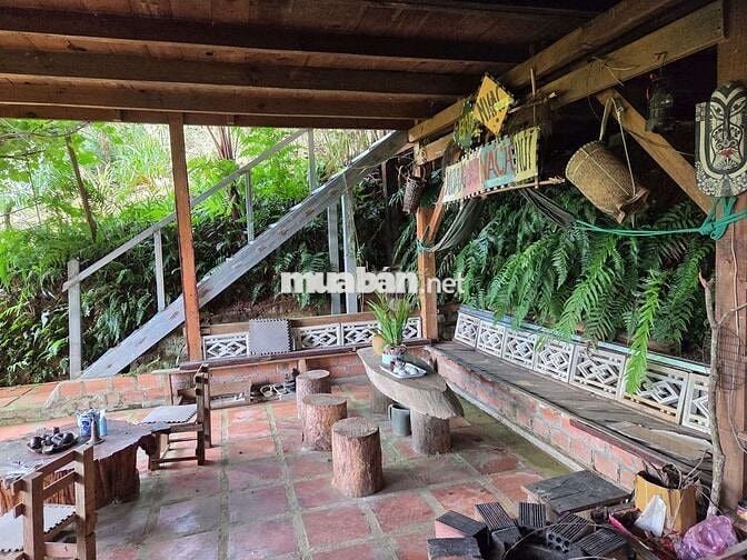 🌿Khi thành phố quá chật chội người ta bắt đầu mơ về một nơi bìnhyên🏡