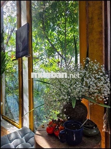 🌿Khi thành phố quá chật chội người ta bắt đầu mơ về một nơi bìnhyên🏡