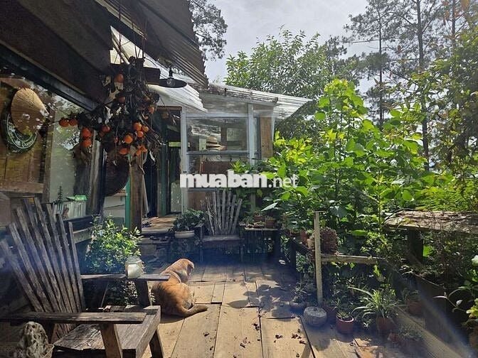 🌿Khi thành phố quá chật chội người ta bắt đầu mơ về một nơi bìnhyên🏡