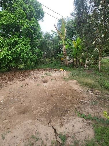 ✅ 1854m2 đất Thủ Thừa Long An. Ngộp bank